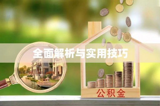 仓山全面解析与实用技巧