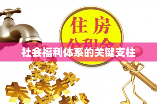仓山社会福利体系的关键支柱