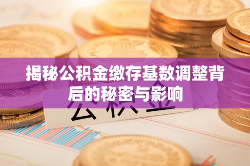 仓山揭秘公积金缴存基数调整背后的秘密与影响