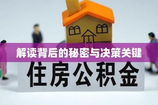 仓山解读背后的秘密与决策关键